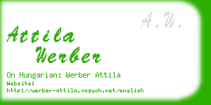 attila werber business card